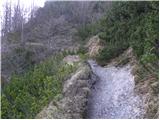 Stahovica - Kapela Marije Snežne (Velika planina)